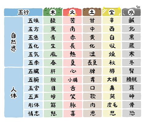 五行式體表